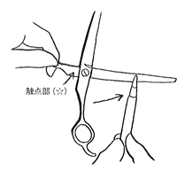 オイルを塗布する