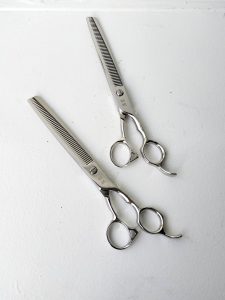 胡蝶MGシリーズより待望の大型サイズが登場